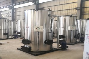  10噸冷凝燃油鍋爐