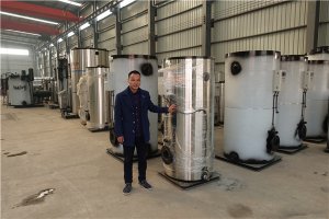 燃氣真空熱水鍋爐樣本