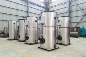 臥式燃?xì)鉄崴仩t公司