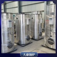 河南0.5t低氮真空鍋爐