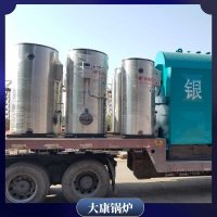 安徽十五噸導熱油爐