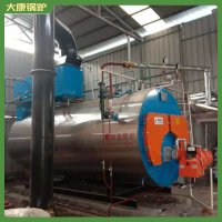 鍋爐燃油鍋爐WNS15蒸饅頭用