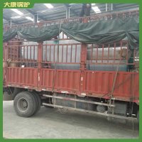 吉林二噸低氮導熱油爐