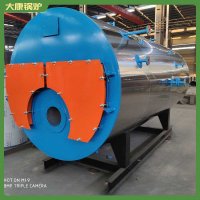 江蘇六噸高壓鍋爐