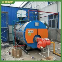 蒸汽鍋爐系列WNS12蒸饅頭用