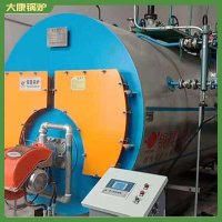 江蘇cwzk7低氮真空鍋爐